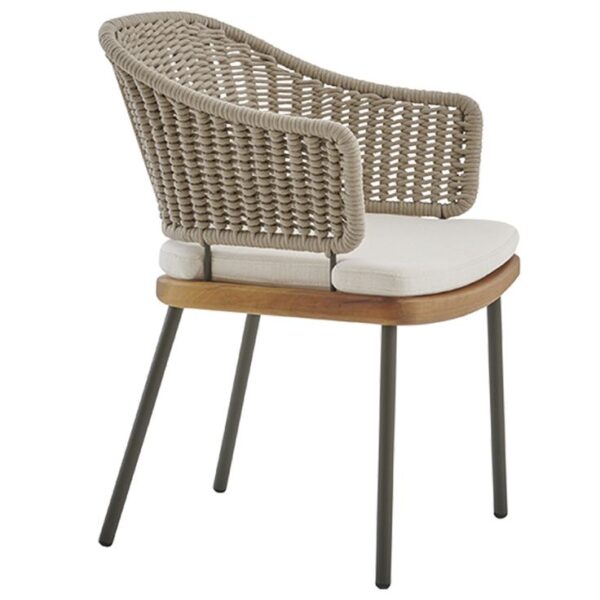 paris chair
